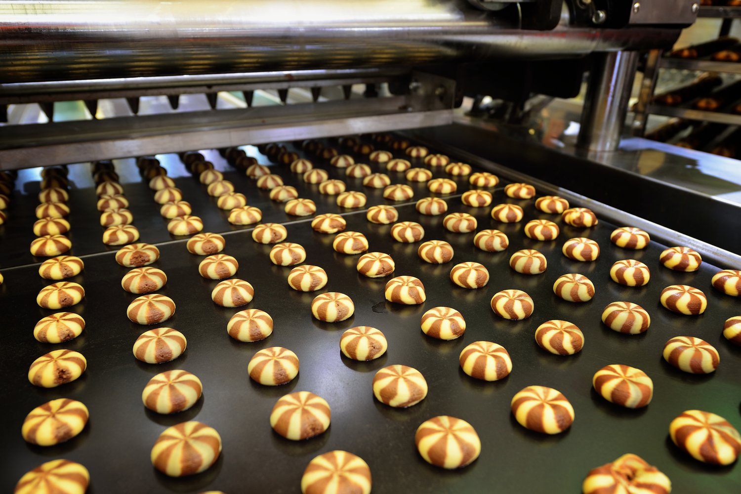cookies on a conveyer belt cookies on a conveyer belt
